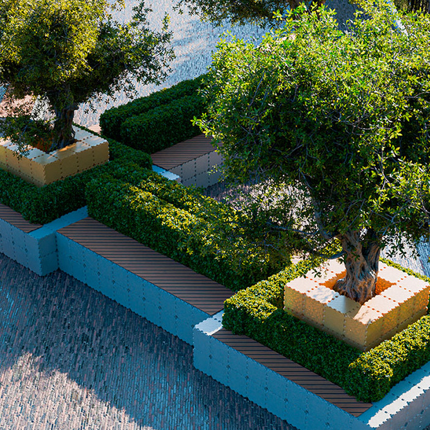 Bäume und große Pflanzen mit kleinem Budget pflanzen: Praktische Lösungen für städtische Räume und Innenräume