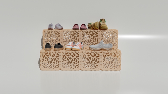 Shoe stand
