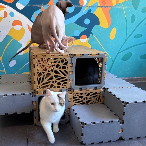 Modular Cat Lounge