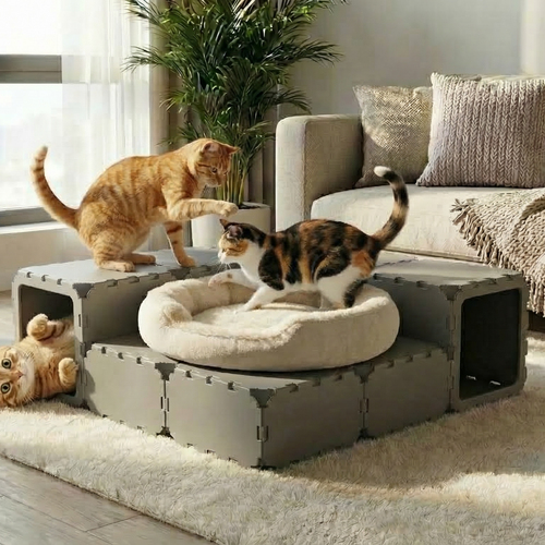 Modular Cat House with Tunnel