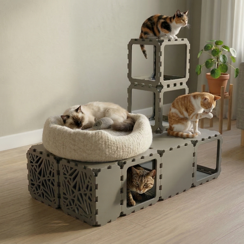 Modular Cat House with Tunnel and BION Windows