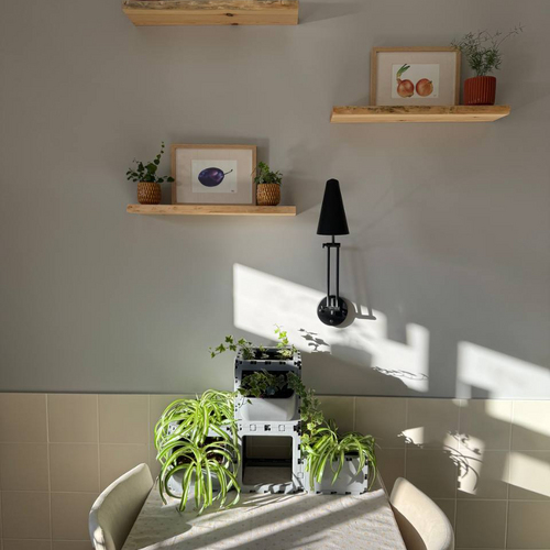 Modular Planter Set (4 Cubes)