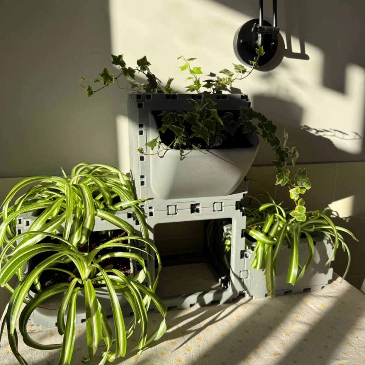 Modular Planter Set (4 Cubes) photo