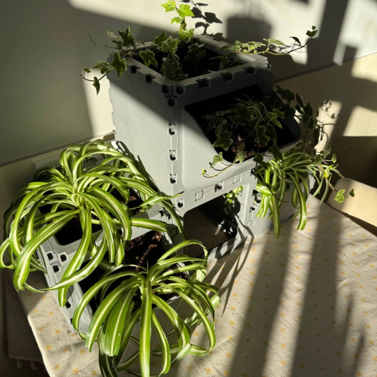 Modular Planter Set (4 Cubes) photo