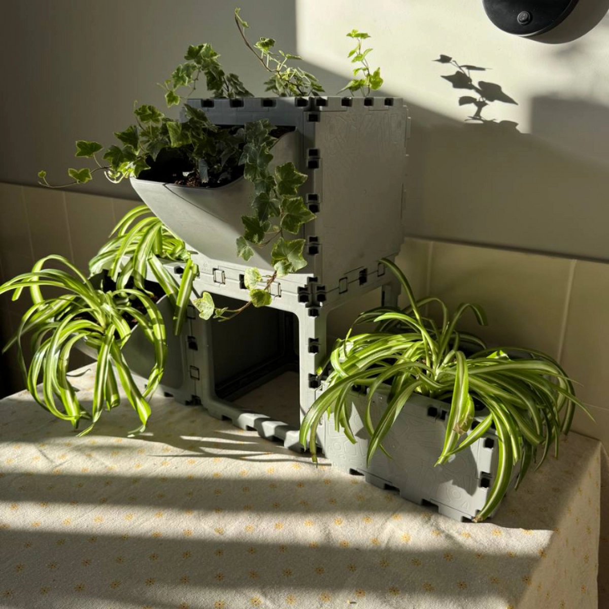 Modular Planter Set (4 Cubes) photo