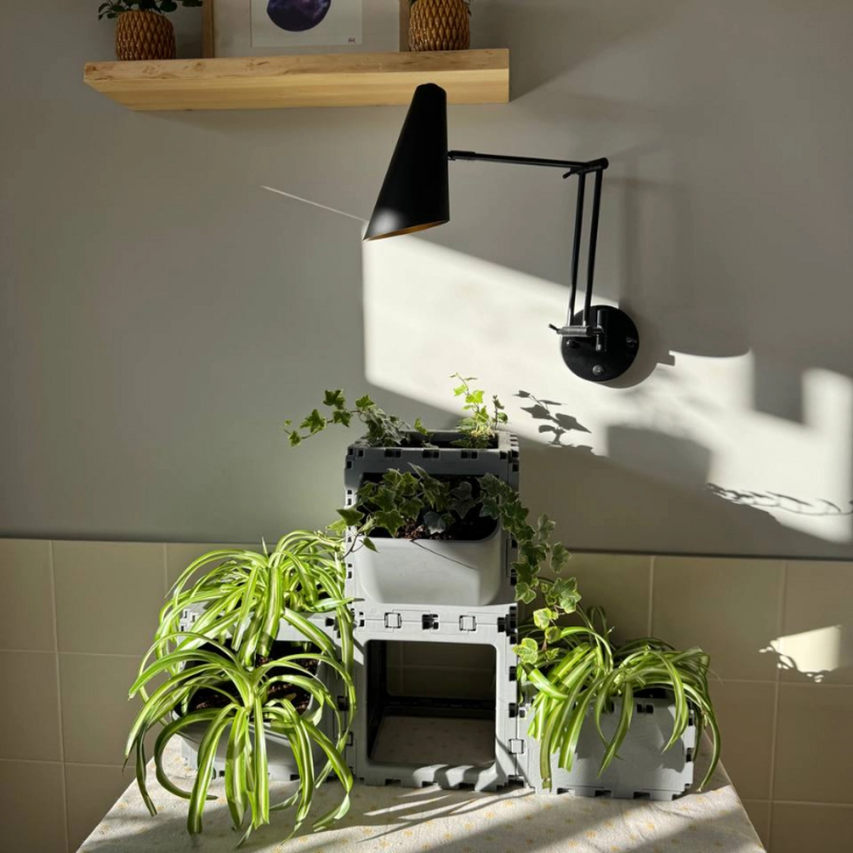 Modular Planter Set (4 Cubes) photo