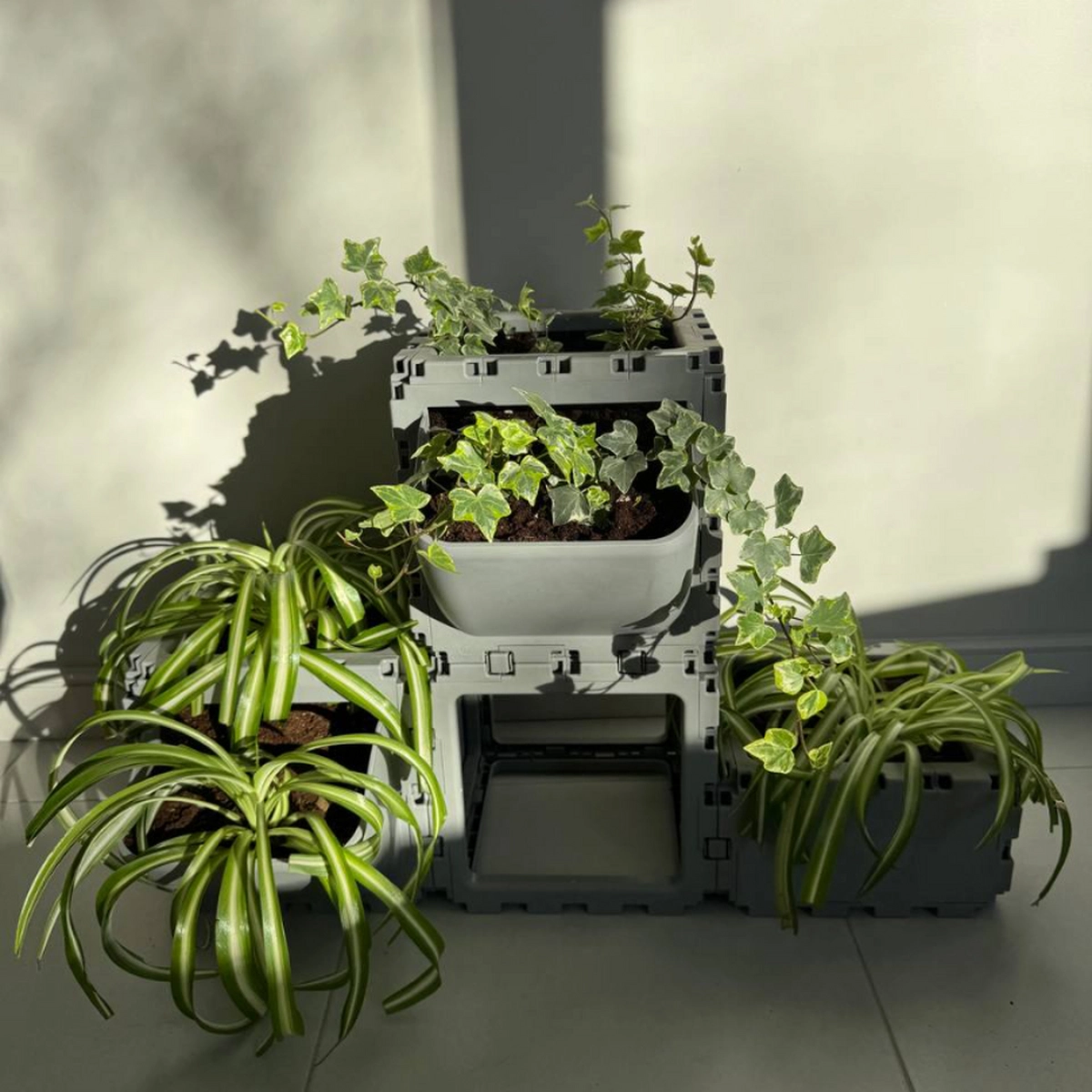 Modular Planter Set (4 Cubes) photo