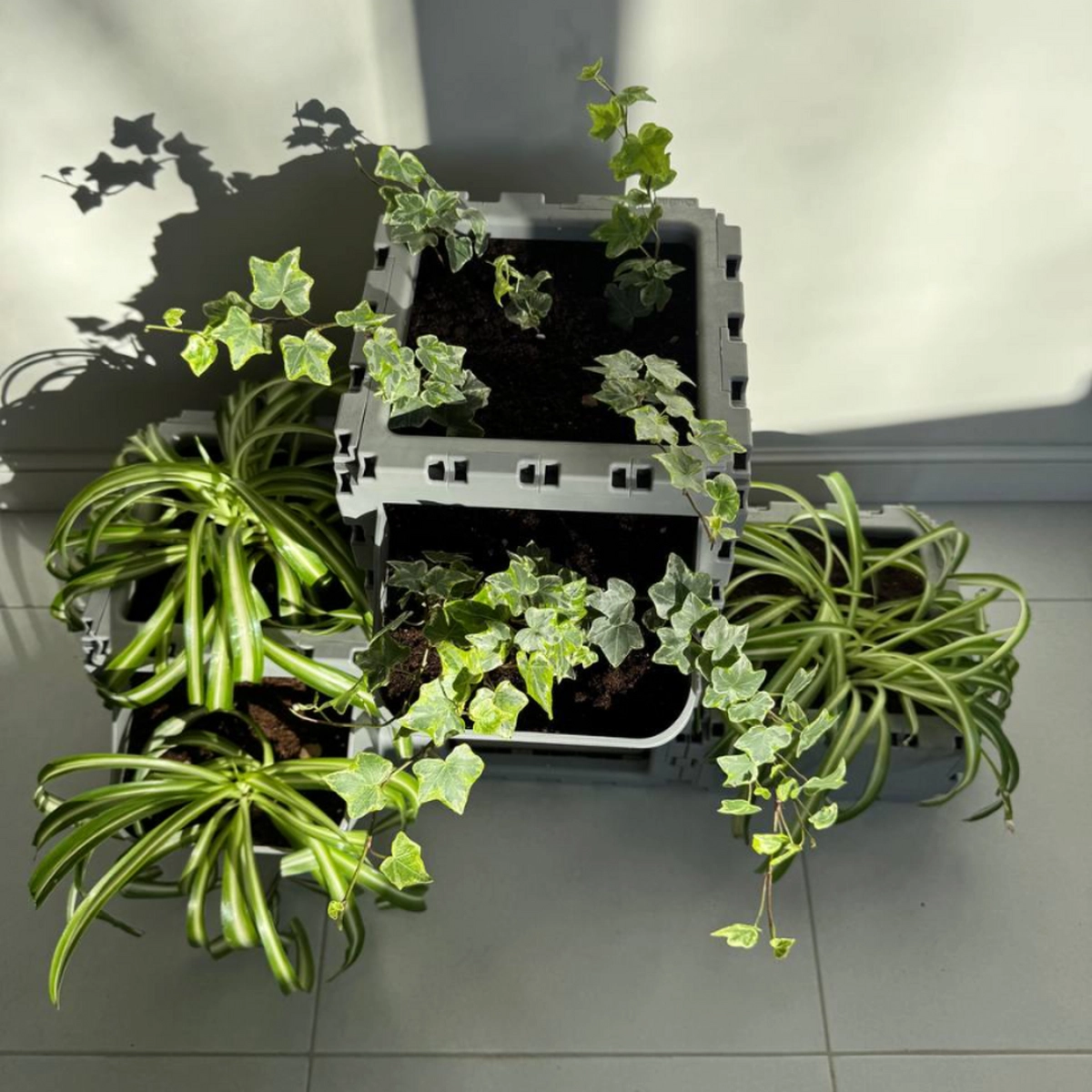 Modular Planter Set (4 Cubes) photo
