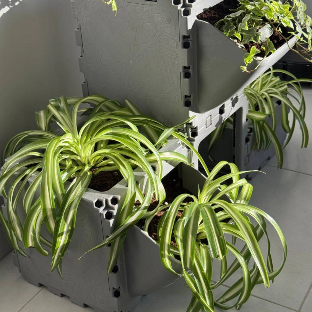 Modular Planter Set (4 Cubes) photo