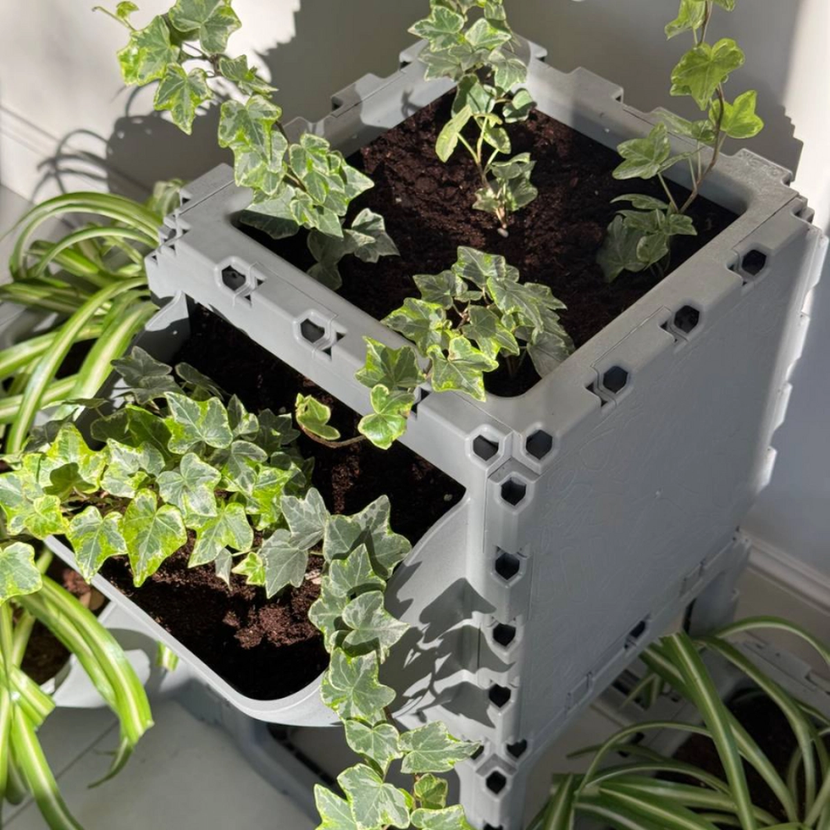 Modular Planter Set (4 Cubes) photo