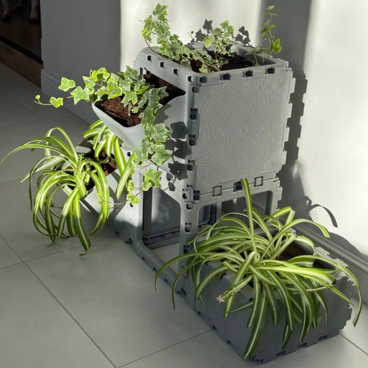 Modular Planter Set (4 Cubes) photo